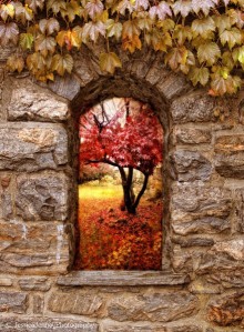 Tear down the walls… Landscape-tumblr-secretdreamlife-color-autumn-favim-com-541623