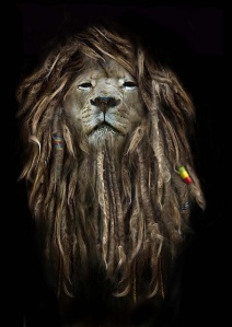 Calling all warriors… Lion-animal-rasta-locs-majestic-favim-com-543755