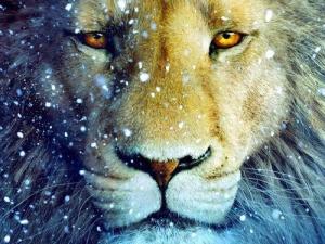 Lets us be kings… Animal-aslan-landscape-lion-narnia-favim-com-357619