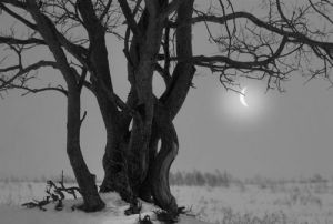Twisted Times… Bampw-black-amp-white-black-and-white-cute-landscape-favim-com-357692