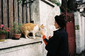 An act of Kindness…. Animal-brunette-cat-girl-kitty-favim-com-326110
