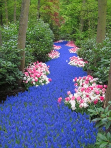 Walking A Path… Flowers-river-favim-com-586204