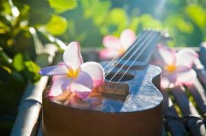 Making Music Together… Hawaii-hawaiian-music-paradise-favim-com-693384