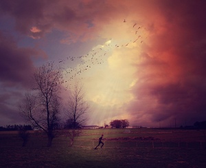 There Is No Running Away… Birds-fantasy-field-photography-purple-favim-com-417302