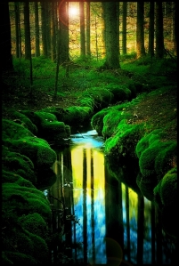 dreamworld-mature-river-forest-sunlight-Favim.com-471287